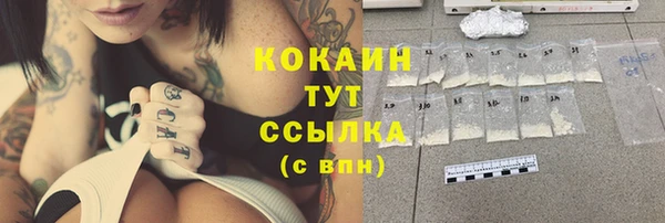 крисы Майский